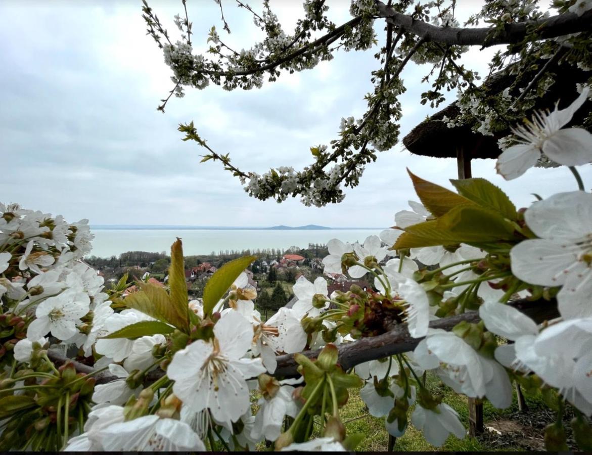 Panorama Apartmanhaz 바다초니토마이 외부 사진
